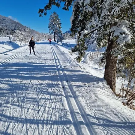 Jm Alpine 公寓 克拉尼斯卡戈拉