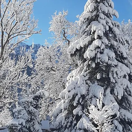 公寓 Jm Alpine 克拉尼斯卡戈拉