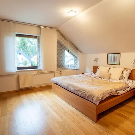 Jm Alpine * 克拉尼斯卡戈拉