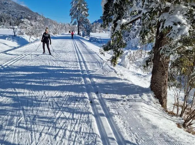 Jm Alpine Lejlighed Kranjska Gora