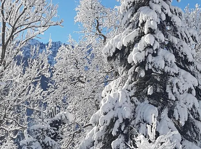 Lejlighed Jm Alpine Kranjska Gora