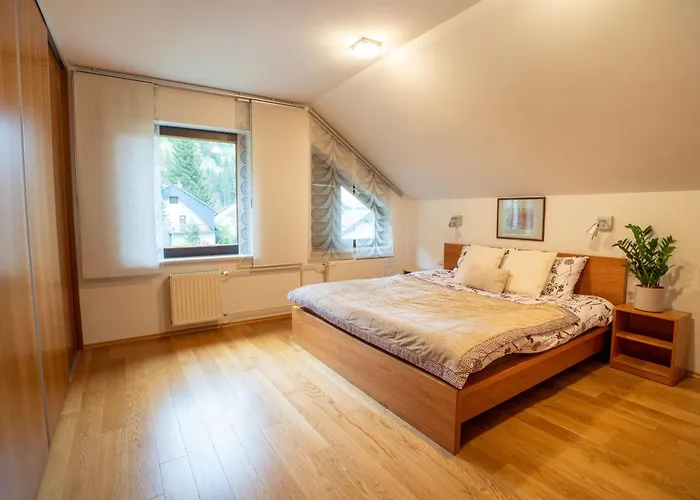 Jm Alpine * Kranjska Gora